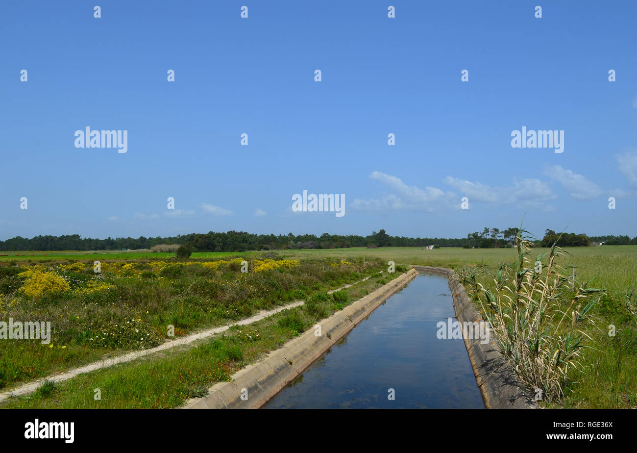 Ein bewässerungskanal in der Region Alentejo, Portugal Stockfoto