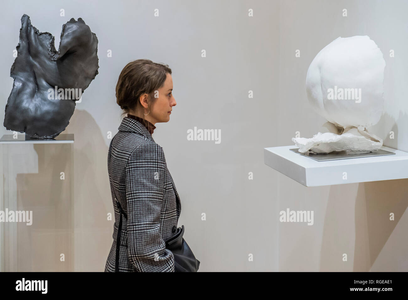 Menschenfleisch Stockfotos Und Bilder Kaufen Alamy