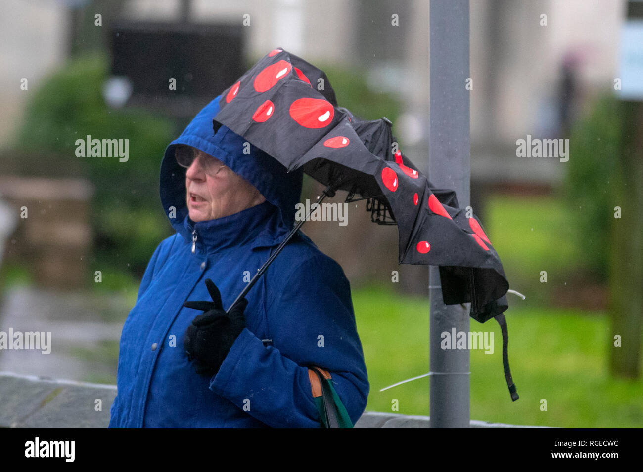 Rot gefleckt gebrochen, Wind beschädigt, verbogener Regenschirm in Southport, Merseyside. 29th. Januar 2019. Wetter in Großbritannien. Kalter, nasser, winterlicher, sleety, windiger Tag an der Küste. Regen und etwas Schnee breiten sich im Nordwesten aus, die Temperaturen werden voraussichtlich weiter sinken. Kredit. MWI/AlamyLiveNews/ Stockfoto