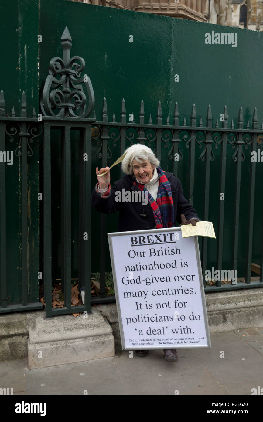 London, Großbritannien. 29. Januar, 2019. An dem Tag, an dem das britische Parlament wieder einmal Stimmen über eine Änderung des Premierministers Theresa's kann Brexit Deal, erfordert einen weiteren Verhandlungen mit der EU in Brüssel, Pro-EU-Demonstranten vor dem Unterhaus sammeln, am 29. Januar 2019, in Westminster, London, England. Foto von Richard Baker/Alamy Leben Nachrichten. Stockfoto