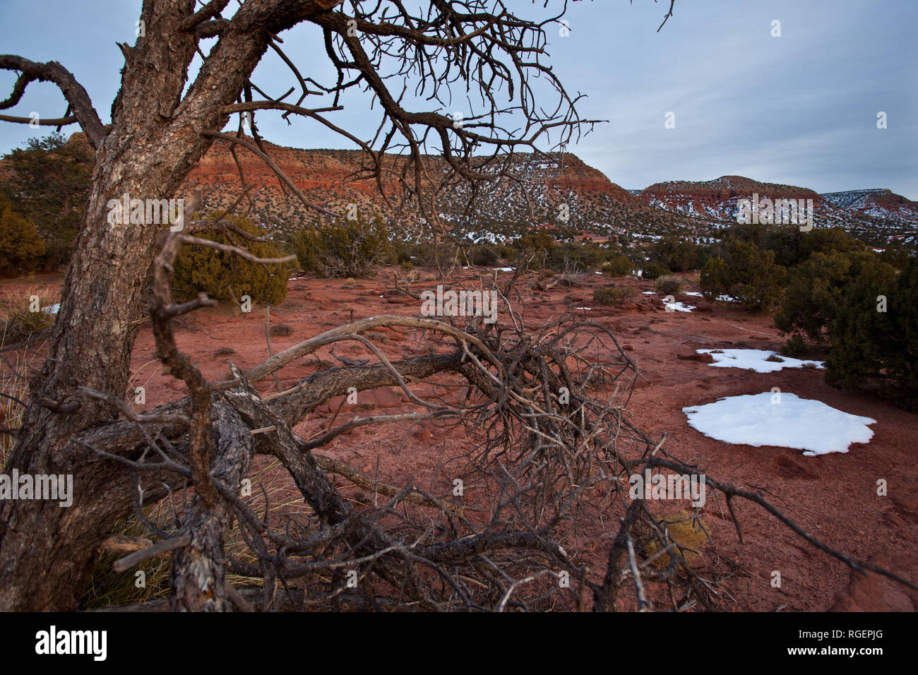 Jemez Springs, Sandoval County, New Mexico, USA Stockfoto