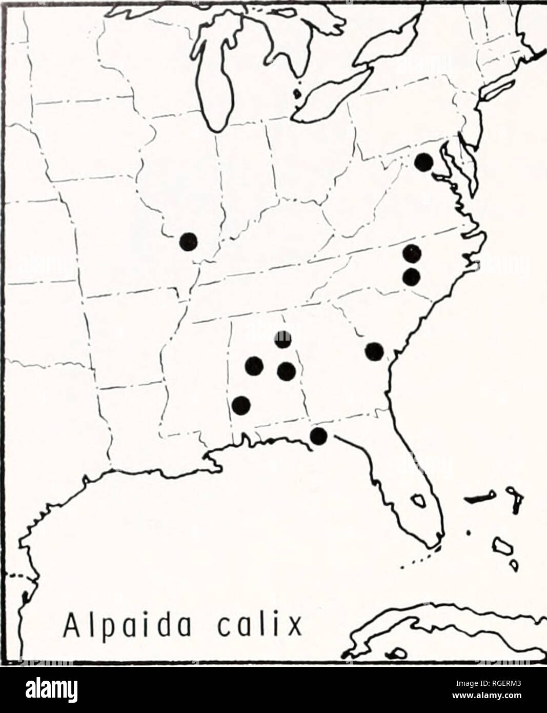 . Bulletin des Museums für Vergleichende Zoologie an der Harvard College. Zoologie. 388 Bulletin Museum für Vergleichende Zoologie, Vol. 147, Nr. 8. Alpaida calix Karte 7. Verteilung der Alpaida calix (Walckenaer). (Tafel 6). Es ist einzigartig, ein ähnliches, aber upside-down Version der Web illustriert von Robinson (1972) von einem unbekannten Neuguinea Metinae. Verteilung. Aus dem Süden von Georgia nach Texas, von Süden nach Norden Argentiniens (Karte 6). Alpaida 0. S. - Cambridge Alpaida O. P.-Cambridge, 1889, Biologia Centrali - Americana, Araneidea, 1:52. Art von monotypy A. conica. Der Name ist weiblich. Parepeira Mello - Stockfoto