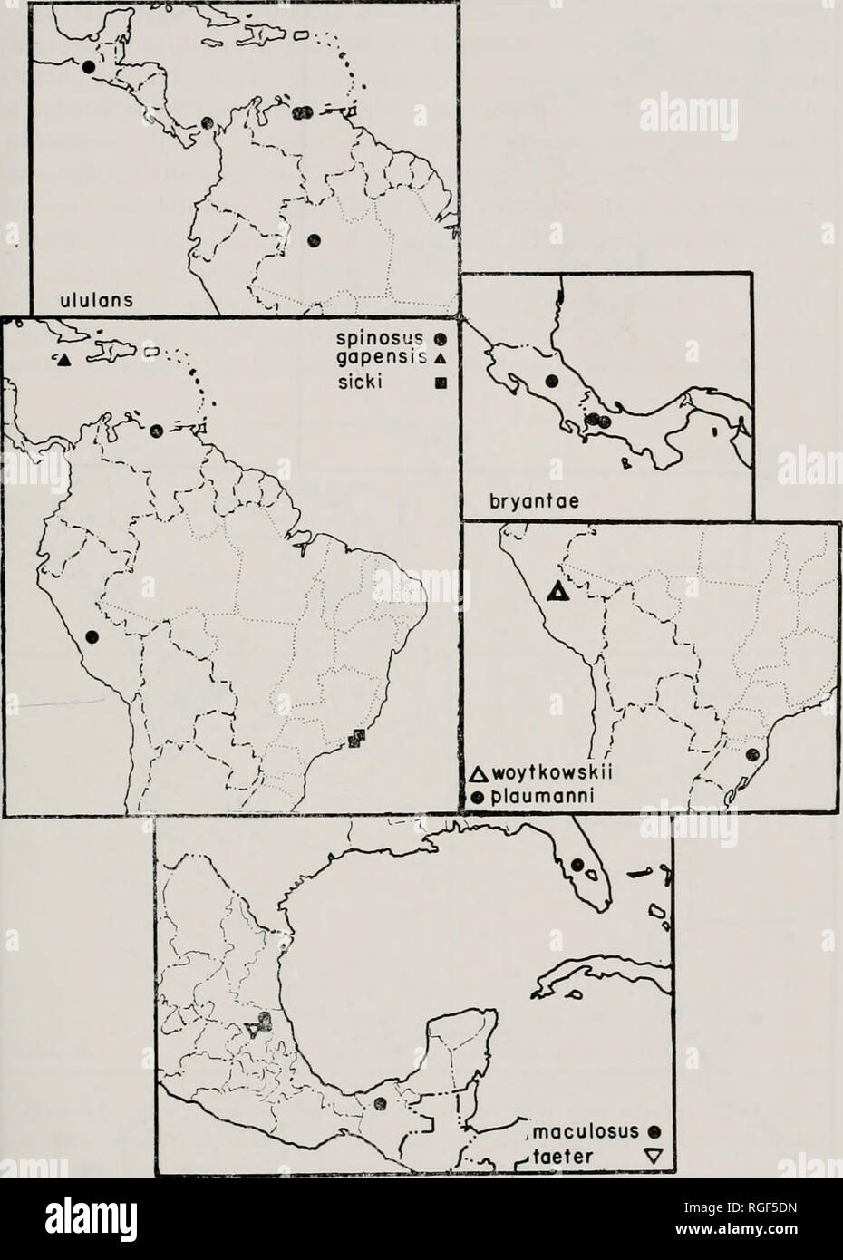 . Bulletin des Museums für Vergleichende Zoologie an der Harvard College. Zoologie. EXLINE UND LEVI: SPINNE DER GATTUNG ARGYRODES 87. Karte 9. Verteilung der Argyrodes~ bryantac neue Arten, A. gapensis neue Arten, A. maoulosus O. P.-Cambridge, A. plaumanni neue Arten, A. neue Arten sicki, A. spinosus Katharina, A. taeter neue Arten, A. ululams O. P.-Cambridge, und A. woytkowshii neue Arten.. Bitte beachten Sie, dass diese Bilder aus gescannten Seite Bilder, die digital für die Lesbarkeit verbessert haben mögen - Färbung und Aussehen dieser Abbildungen können nicht genau mit dem Original ähneln extrahiert werden Stockfoto
