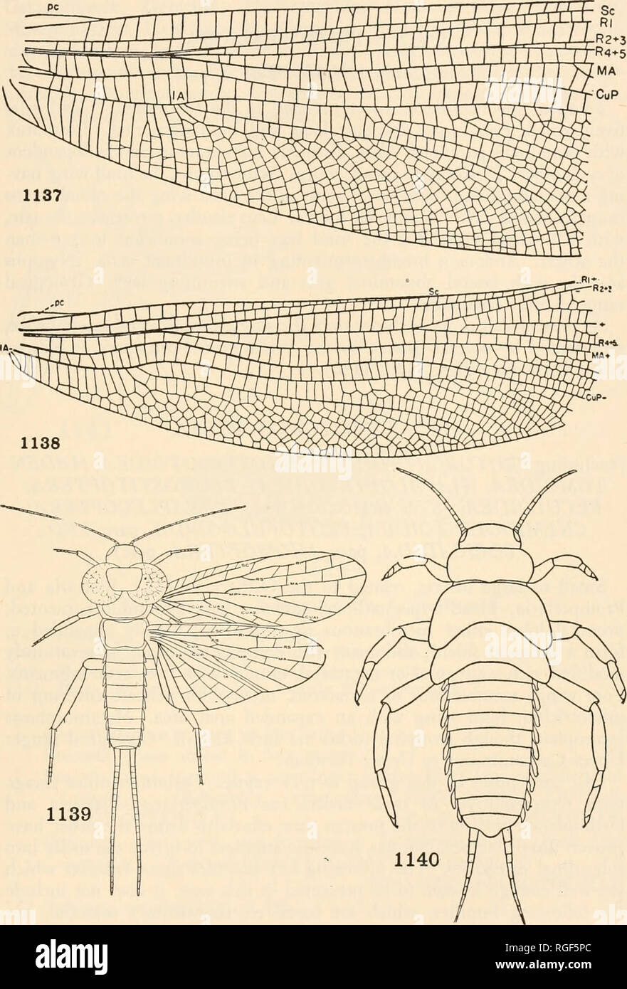 . Bulletin des Museums für Vergleichende Zoologie an der Harvard