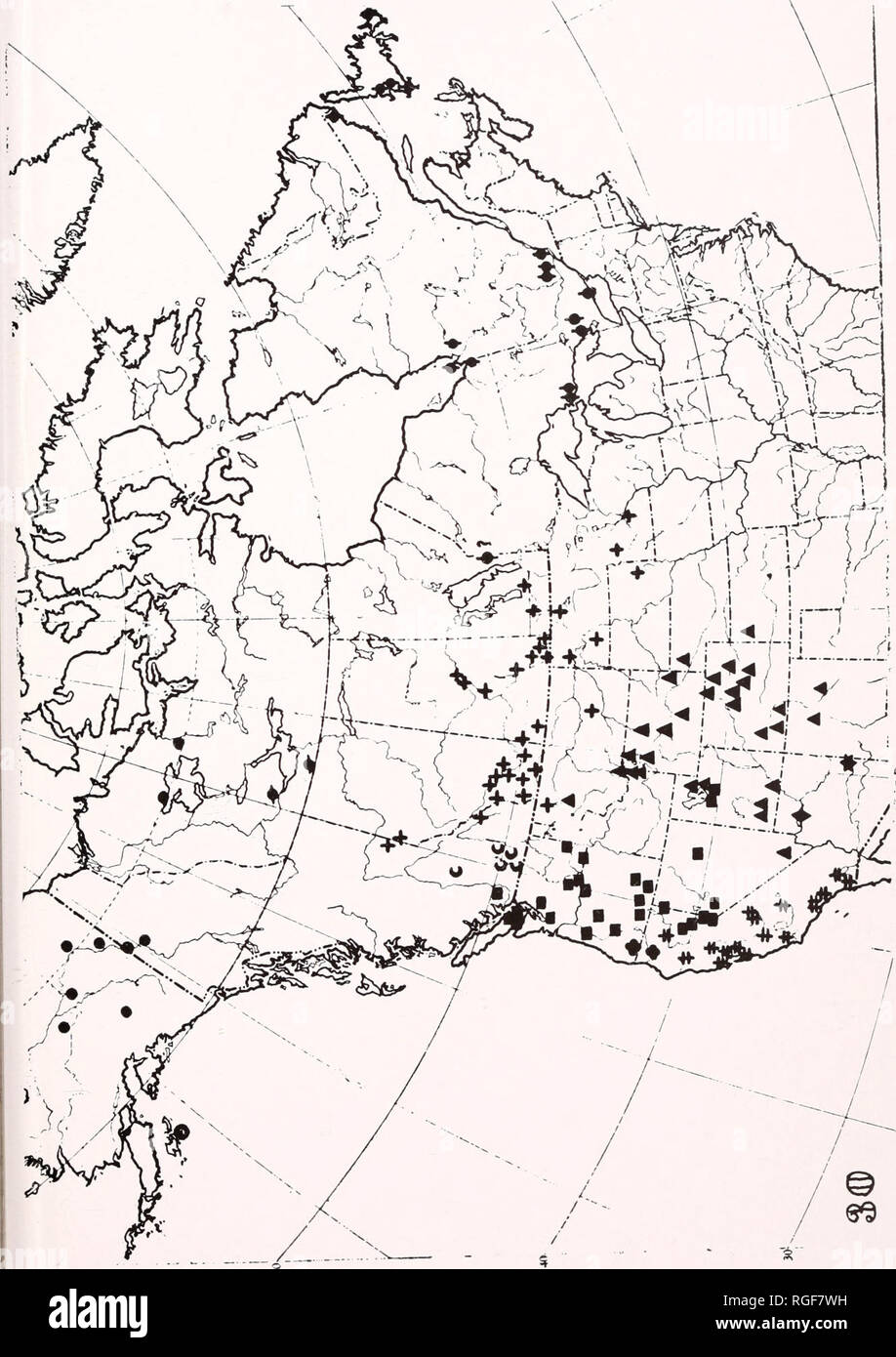 . Bulletin des Museums für Vergleichende Zoologie an der Harvard College. Zoologie. Stier. MUS. Komp. ZOOL. Davenport. Die Satyrid Gattung Coenonympha. Platte 5. Bitte beachten Sie, dass diese Bilder sind von der gescannten Seite Bilder, die digital für die Lesbarkeit verbessert haben mögen - Färbung und Aussehen dieser Abbildungen können nicht perfekt dem Original ähneln. extrahiert. Harvard University. Museum für Vergleichende Zoologie. Cambridge, Mass.: Das Museum Stockfoto