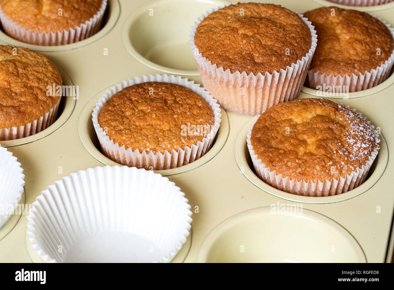 Die Muffins im Backblech Stockfoto