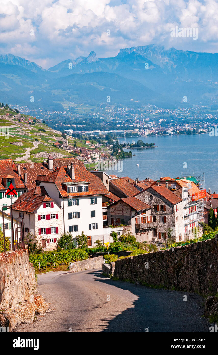 Zu Fuß durch die Lavaux, Weinberg-Terrassen in St. Saphorin, Schweiz Stockfoto