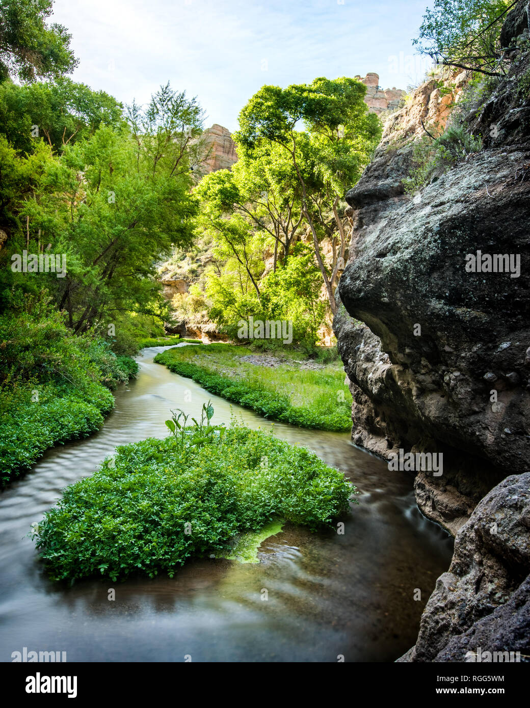 Windige Creek bringt üppige Oase der grünen Pflanzen in dem Aravipa Canyon von Arizona Stockfoto