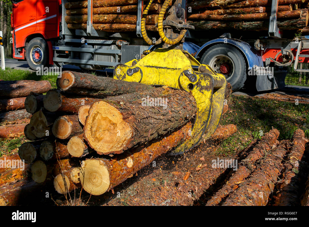 Kran im Wald laden Protokolle im Fahrzeug. Holzernte und Transport im Wald. Transport von Wald Holzindustrie und Forstwirtschaft. Stockfoto