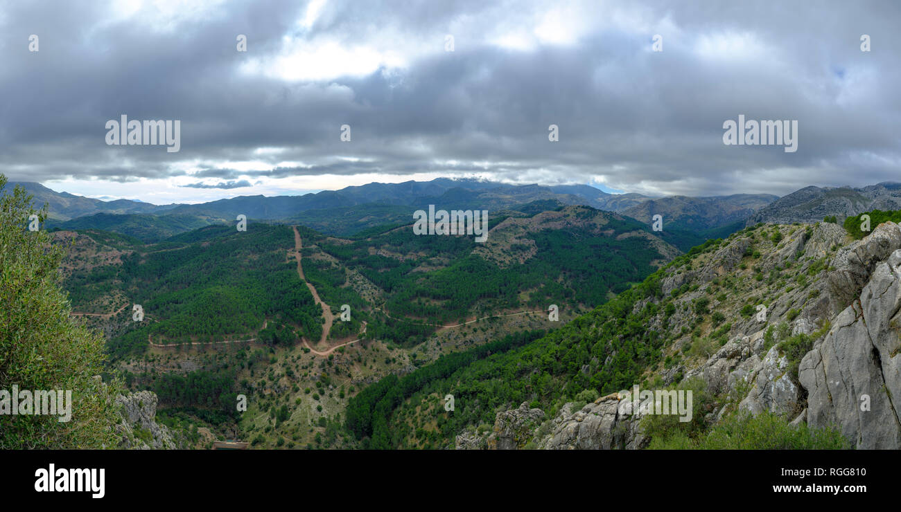 Blick vom Mirador del Guarda Forestal im Parque Natural Sierra de las Nieves in der Nähe von Ronda, Andalusien, Spanien Stockfoto