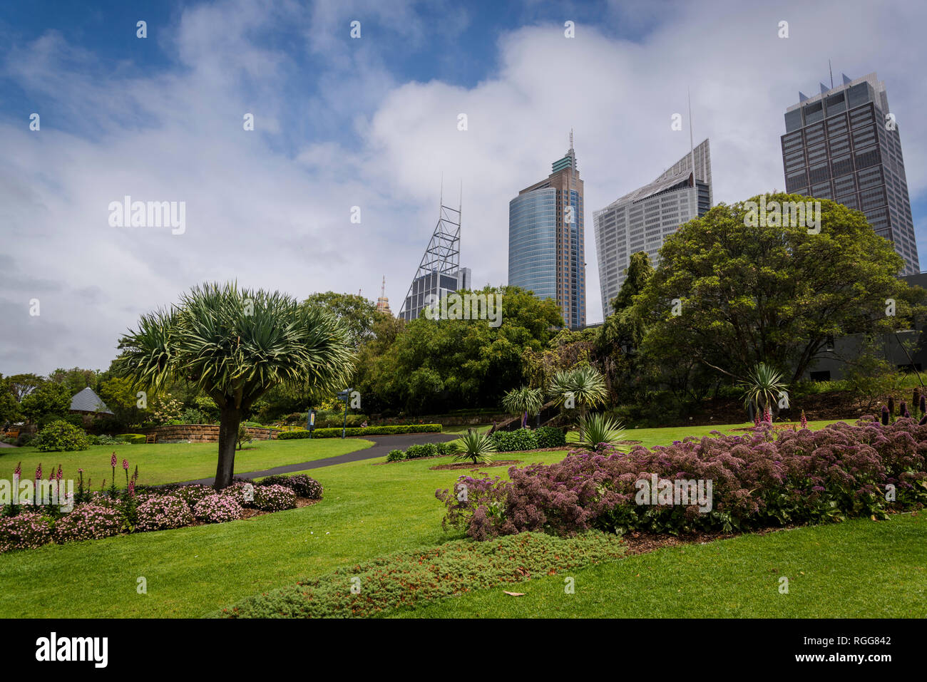 Royal Botanic Gardens und Central Business District Wolkenkratzer, Sydney, Australien Stockfoto