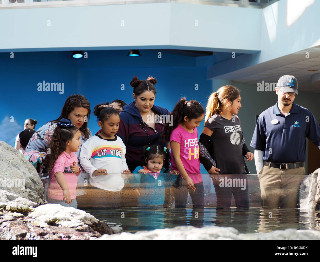 Frauen und Kinder sehen Sie sich die interaktiven Stingray Lagoon Exponat auf der Texas State Aquarium in Corpus Christi, Texas USA. Stockfoto