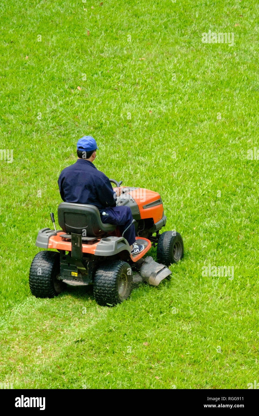 Hohen Winkel hinten Blick auf eine Person, den Rasen zu mähen und schneiden das Gras mit einem großen motorisierten Rasenmäher Stockfoto