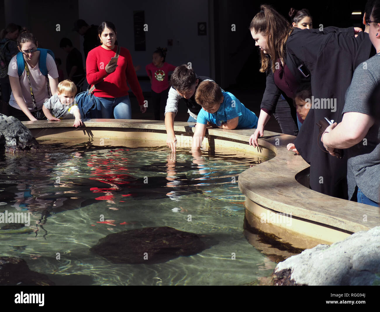 Zwei Jungen, die ihre Hände in das Wasser des Stingray Lagoon, eine interaktive Ausstellung an der Texas State Aquarium in Corpus Christi, Texas USA Dip. Stockfoto