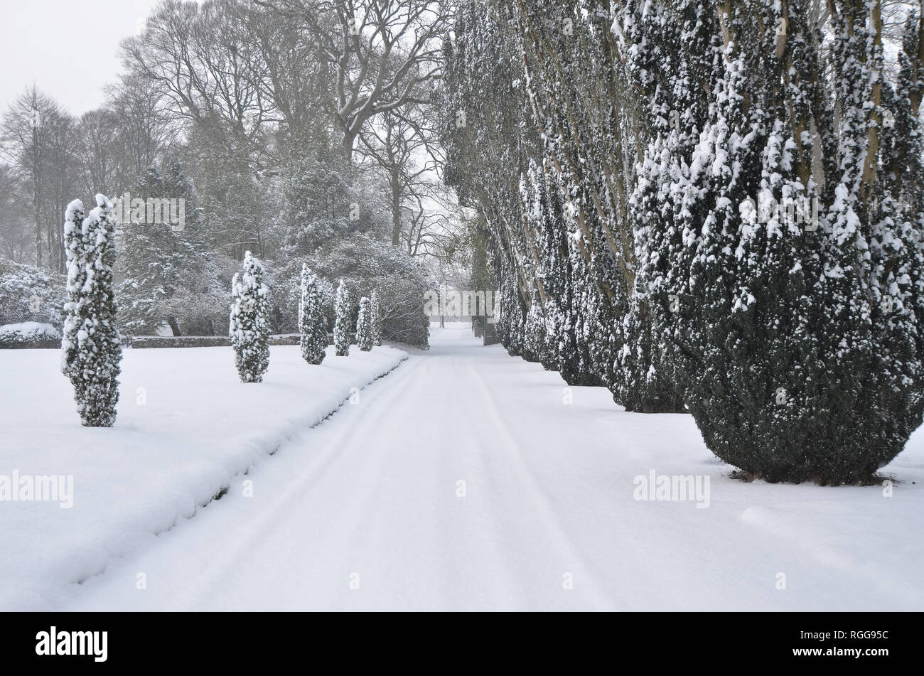 Weihnachten, schneit, Schloss, Park, Reisen, Stockfoto