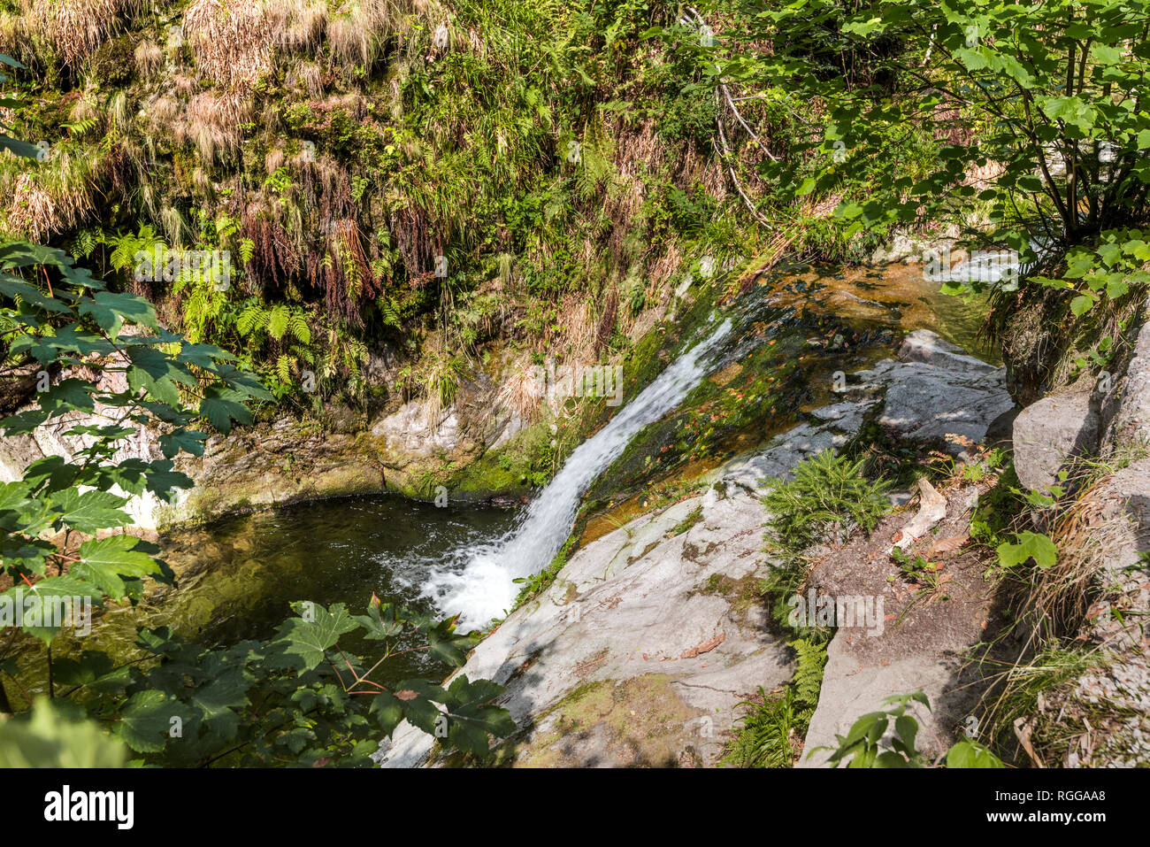 Allerheiligen Wasserfälle, Stadt Oppenau, Nördlicher Schwarzwald, Deutschland, unteren Teil der Wasserfälle Stockfoto