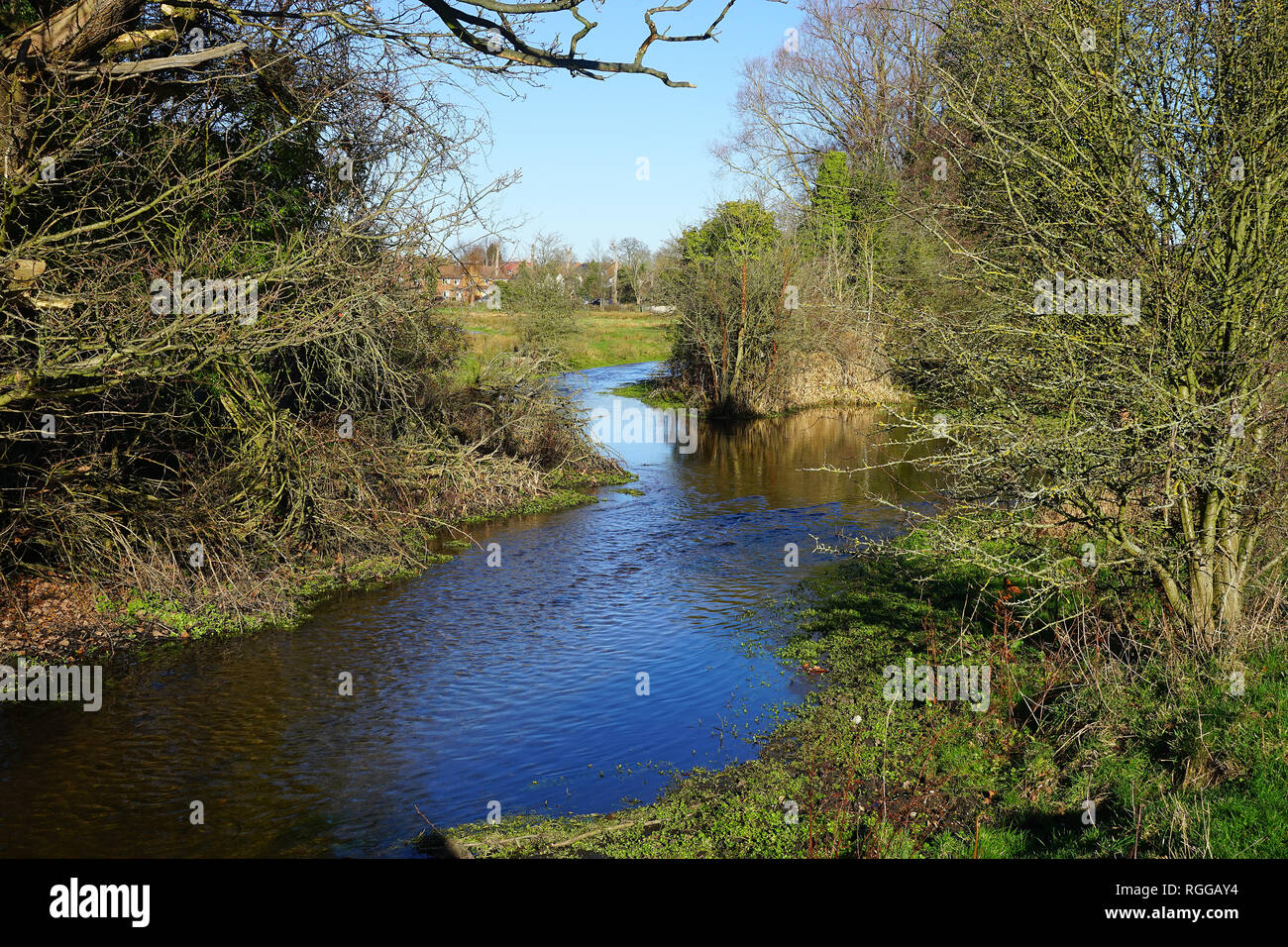 Gabel im Fluss Ver in den Wiesen in der Nähe von Sopwell, St Albans, Hertfordshire Stockfoto