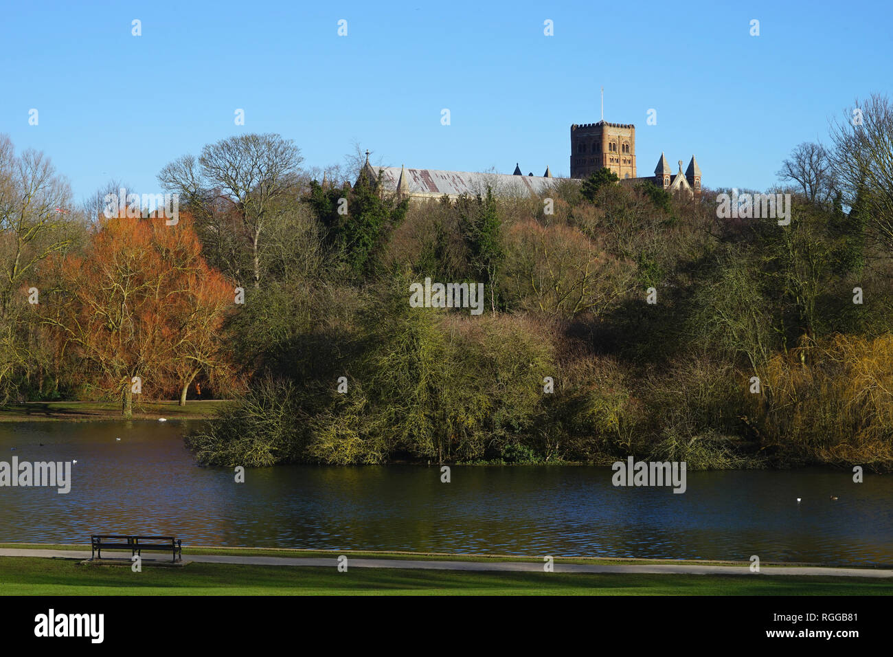 Ein Blick über den See bei Verulamium Park St Albans Cathedral Stockfoto