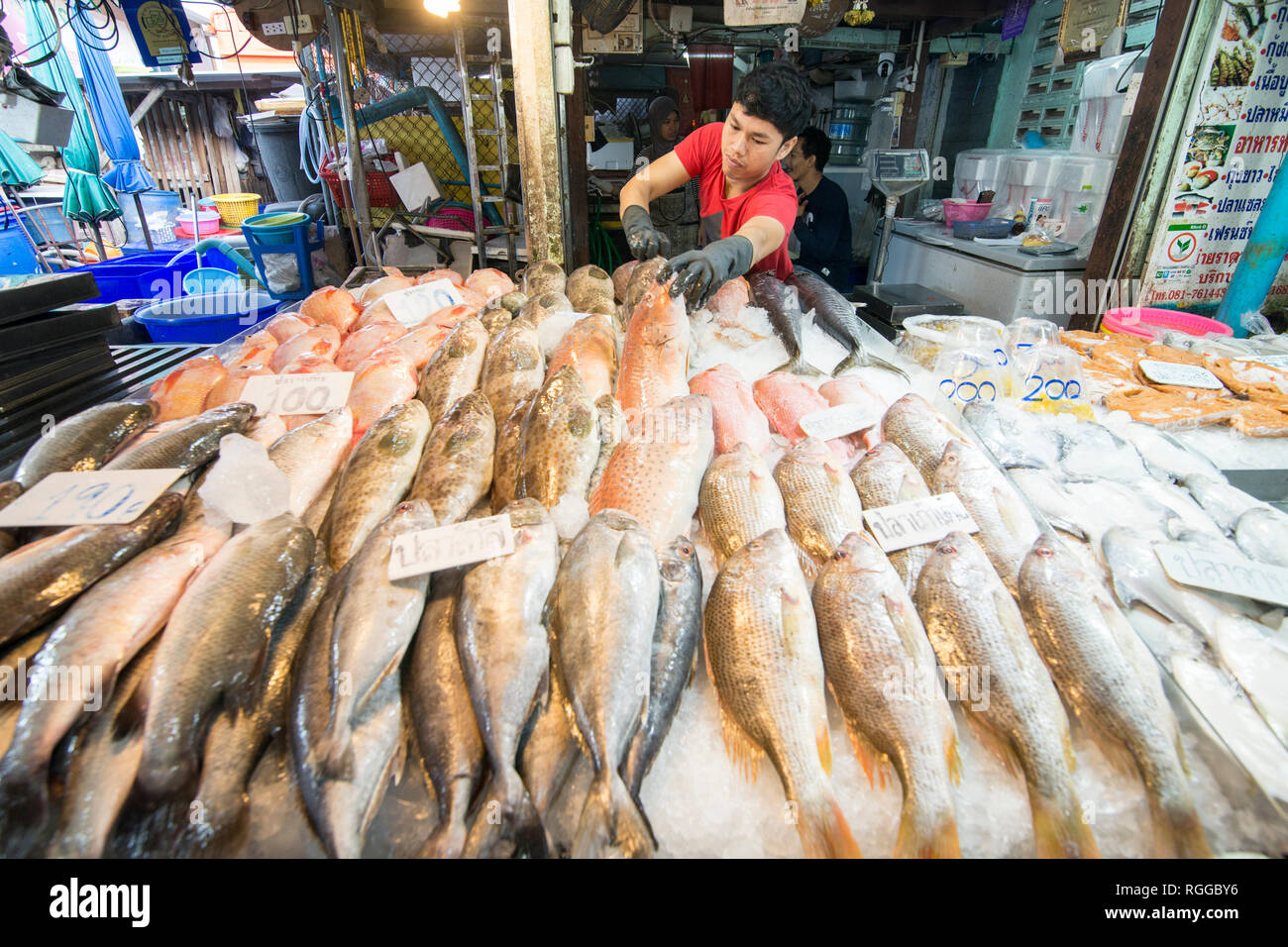 Frische Meeresfrüchte und Fisch auf dem Fischmarkt an der Naklua Fischmarkt in der Stadt in der Provinz Chonburi Pattaya in Thailand. Thailand, Pattaya, Keine Stockfoto