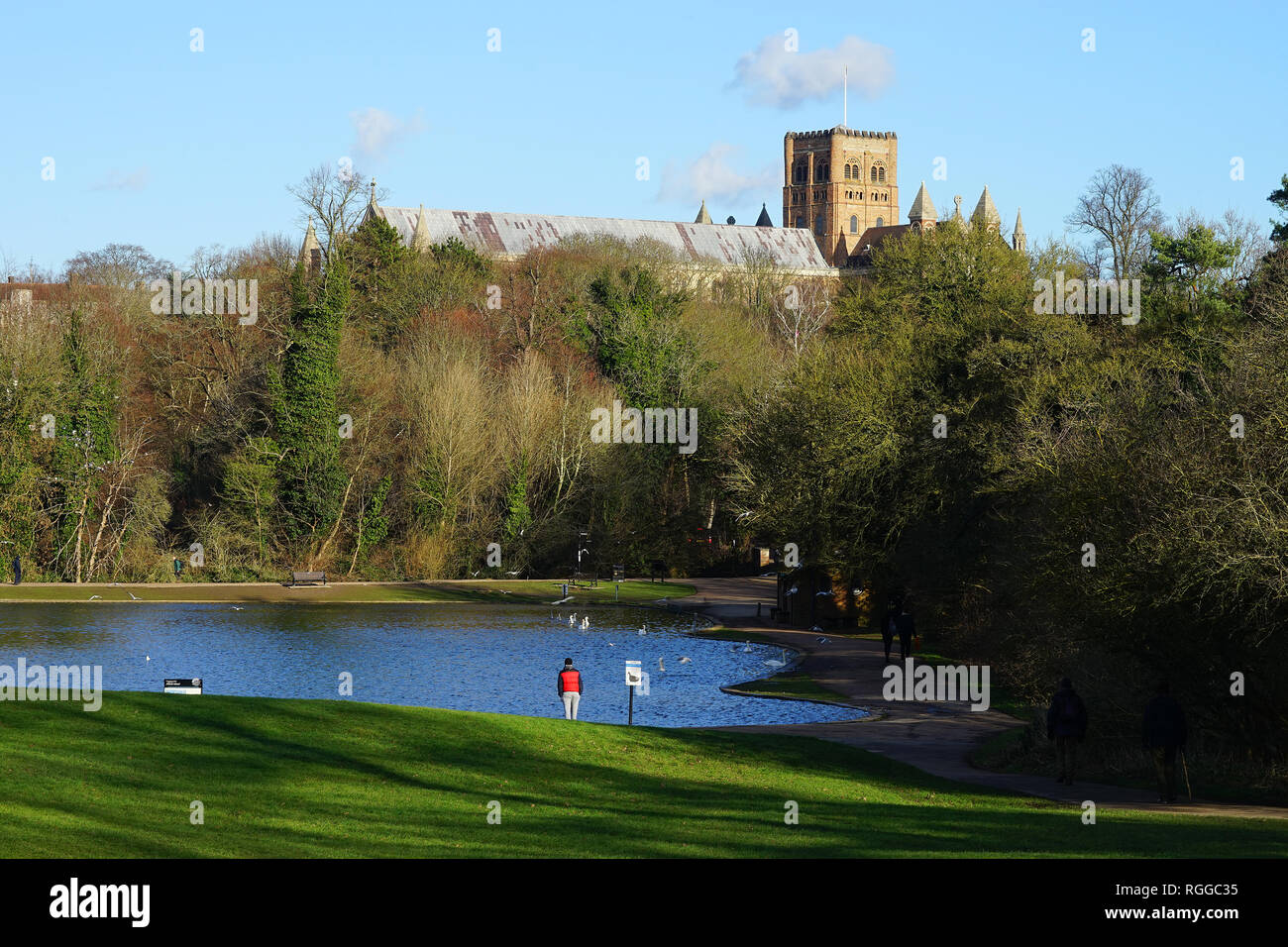 Ein Blick auf die St. Albans Kathedrale von Verulamium Park Stockfoto