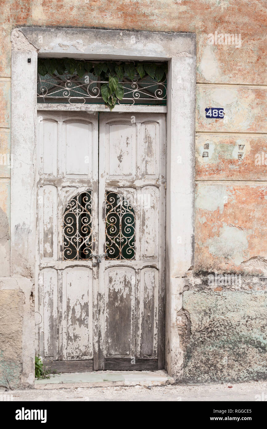 Verlassene Tor in Merida: Ein einmal weiße Tür scheint abandones mit Pflanzen durch die Dachfenster Bruch, Rost auf der dekorativen Gitter und ein großes Vorhängeschloss und Kette. Stockfoto