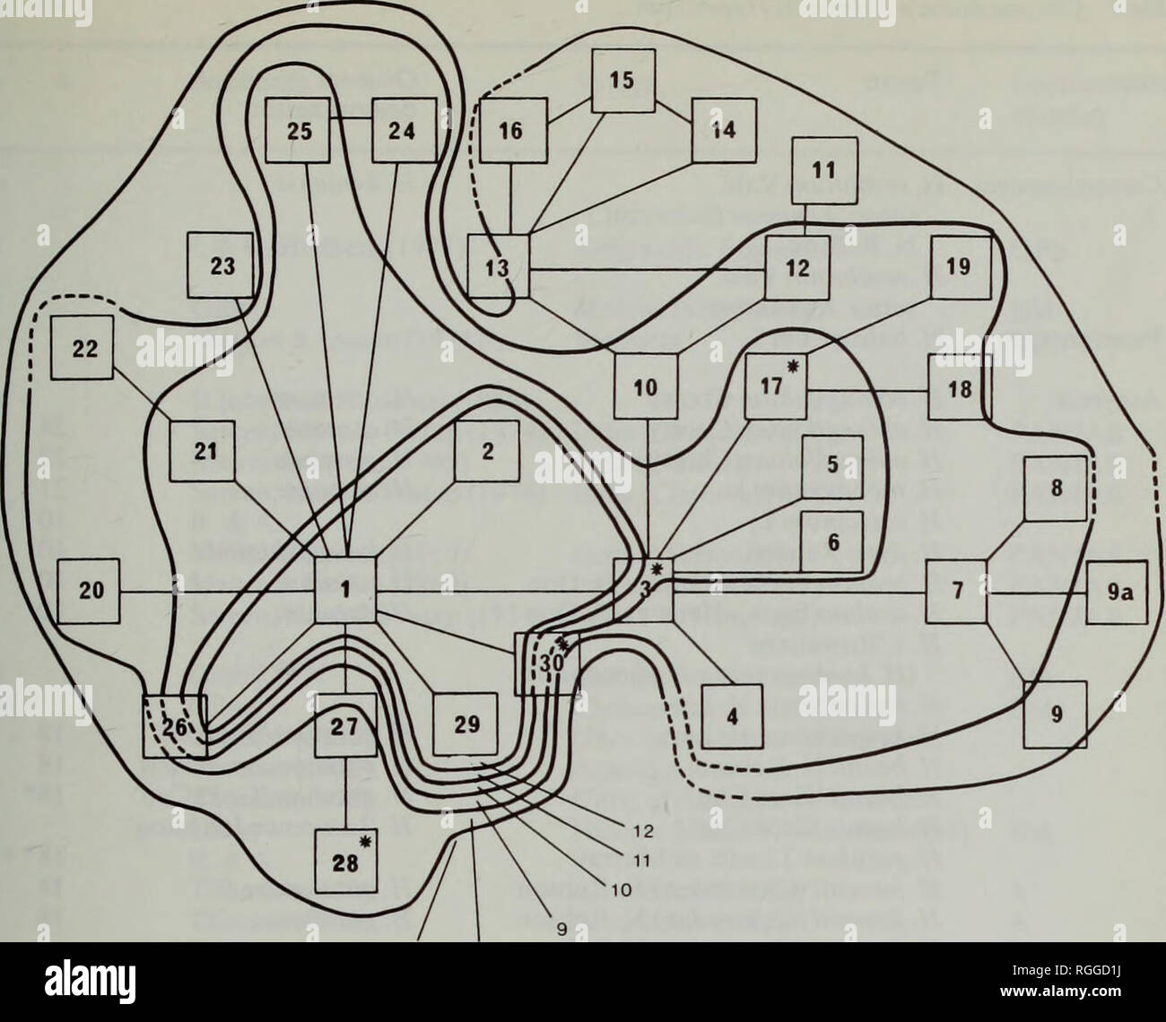 . Bulletin des British Museum (Natural History) Botanik. Studien, DIE IN DER GATTUNG HYPERICUML. (GUTTIFERAE) 151. Abb. 54 Verteilung der Chromosomenzahlen in Hypericum. Hinweis: Abs. 3 Es gibt einen sekundären Anzahl (21); in Abschnitt 17, x = 8, 7 auftreten, oder es kann eine aufsteigende Reihe auf x' = 12 - *-14 werden; in Abschnitt 28, n=10 aufgezeichnet wurde. Für die mit * markierten Felder sind, siehe Text. Von 2n=36 für diese künstlichen Hybriden sogar wahrscheinlicher von Verwechslung geführt zu haben. Es ist möglich, dass seine zählen für H. patulum selbst ist auch auf einer Verwechslung beruht. Auch Dr. Gibby Count von 2 n=3 Stockfoto . Bulletin des British Museum (Natural History) Botanik. Studien, DIE IN DER GATTUNG HYPERICUML. (GUTTIFERAE) 151. Abb. 54 Verteilung der Chromosomenzahlen in Hypericum. Hinweis: Abs. 3 Es gibt einen sekundären Anzahl (21); in Abschnitt 17, x = 8, 7 auftreten, oder es kann eine aufsteigende Reihe auf x' = 12 - *-14 werden; in Abschnitt 28, n=10 aufgezeichnet wurde. Für die mit * markierten Felder sind, siehe Text. Von 2n=36 für diese künstlichen Hybriden sogar wahrscheinlicher von Verwechslung geführt zu haben. Es ist möglich, dass seine zählen für H. patulum selbst ist auch auf einer Verwechslung beruht. Auch Dr. Gibby Count von 2 n=3 Stockfoto