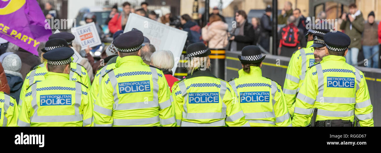 Westminster, London, UK, 29. Januar 2019; Gruppe von Metropolitan Polizei Polizei eine Demonstration vor dem Parlament Pro-Brexit Stockfoto