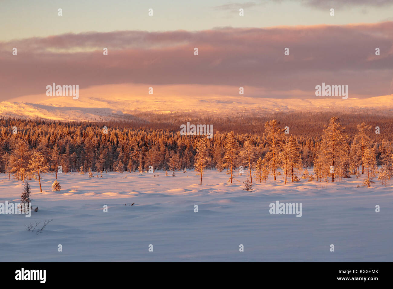 Winter Landschaft mit Bergen im Hintergrund und Wolken hängen über dem Berg, Gällivare, Schwedisch Lappland, Schweden Stockfoto