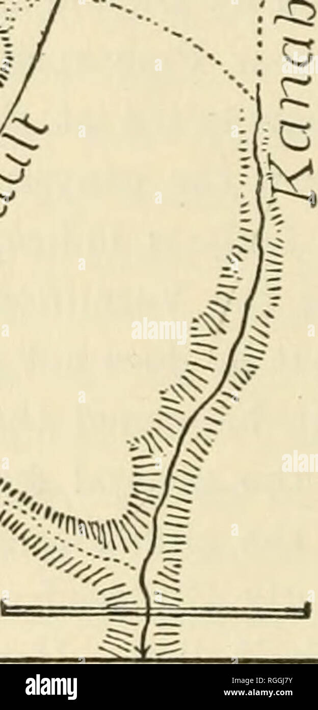 . Bulletin des Museums für Vergleichende Zoologie an der Harvard College. Zoologie; Zoologie. 144 BULLETIN: Museum für Vergleichende Zoologie. erosion Seit faulting werden in der Regel von einem Bruch in der align-lung der Trias und Shinarump Klippen, wo die Konfliktlinien zu überqueren. Powell (a, S.191), Gilbert (a, S. 51) und Knopf (c, S. 200) alle erkennen an, dass eine größere Rezession der Felsabstürze des Gehievt Seite der Störungen als allgemeine vorkommen, aber nicht ausdrücklich die Höhe der Rezession mit dem Datum der faulting anschließen. Die Verschiebung der Klippe vor, wie Gilbert Phrasen Stockfoto