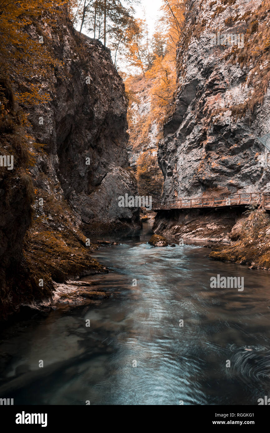 Schlucht Vintgar und Holz- Pfad, Bled, Slowenien mit Herbstfarben Stockfoto