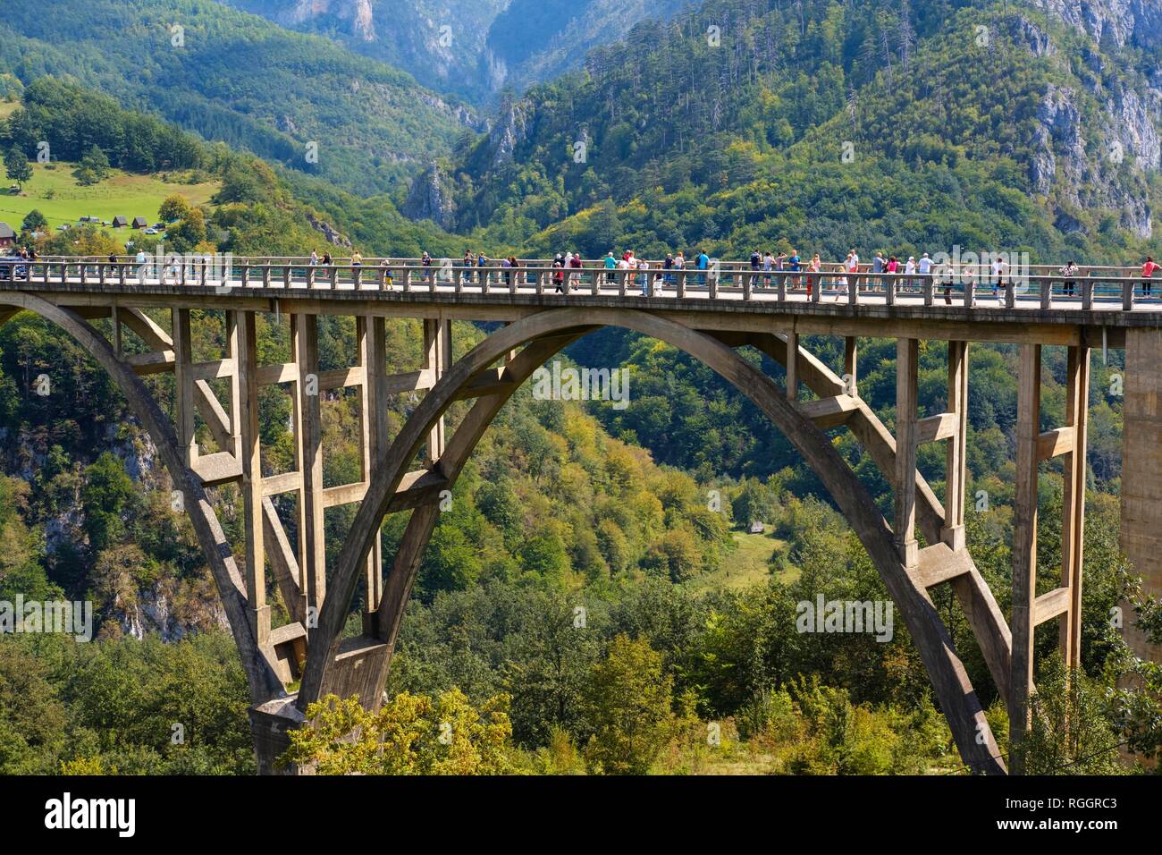 Tara Brücke, Durdevica, Tara Schlucht, Nationalpark Durmitor, Montenegro Pljevlja Provinz, Stockfoto
