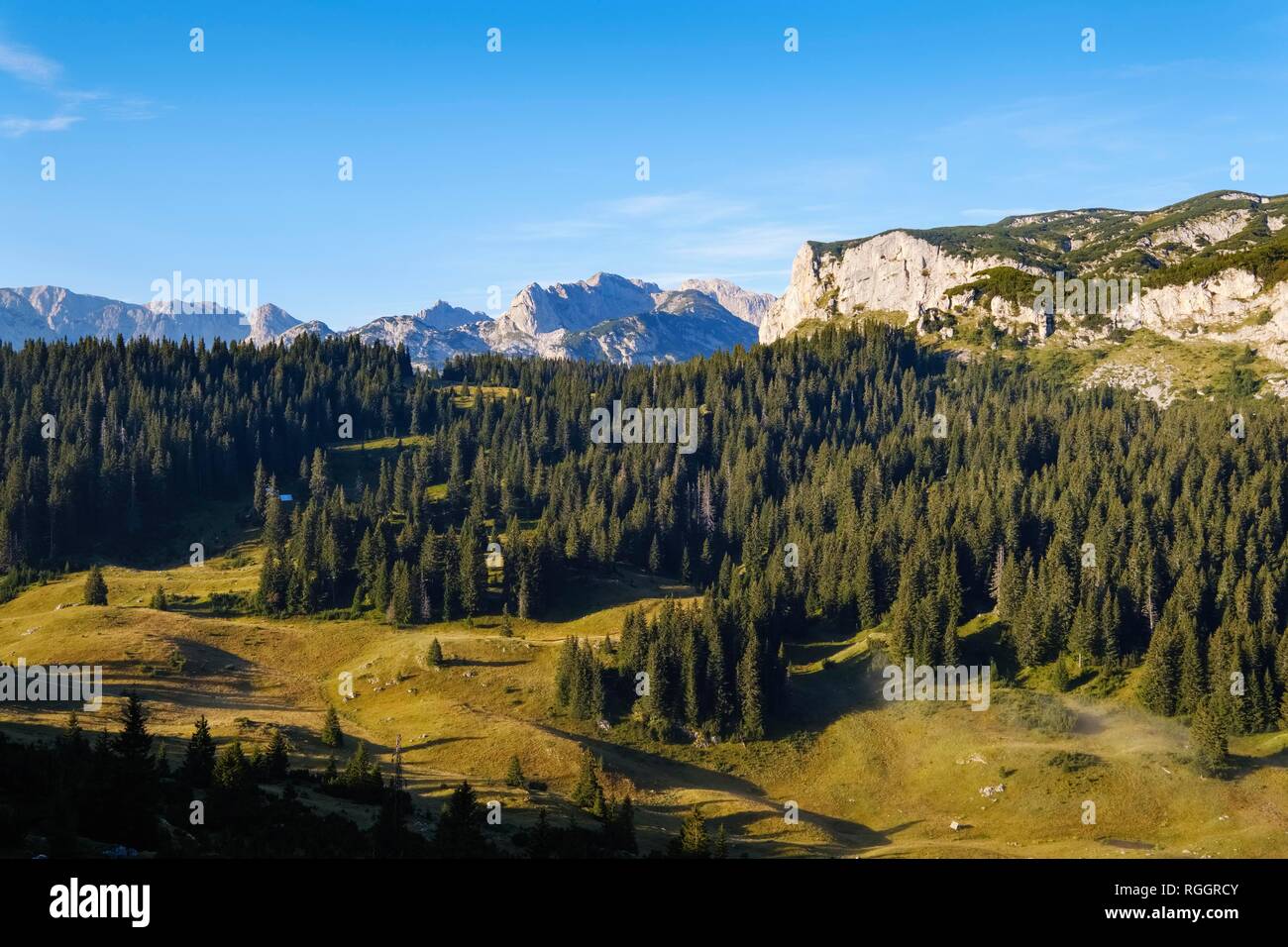 Durmitor Massiv, Durmitor Nationalpark, in der Nähe von Zabljak, Montenegro Stockfoto