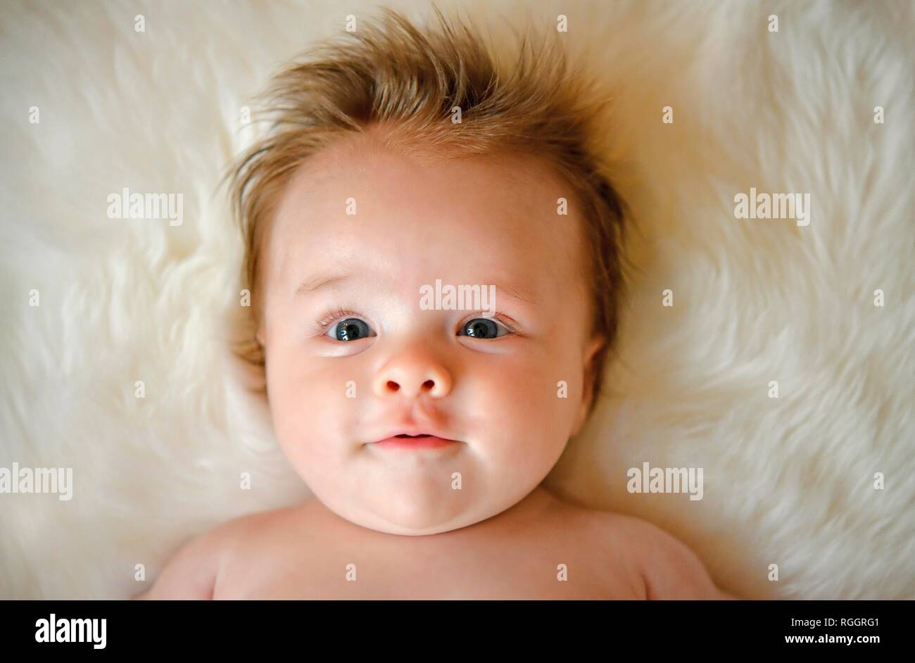 Kind, drei Monate, für Pelze, Porträt, Baden-Württemberg, Deutschland Stockfoto