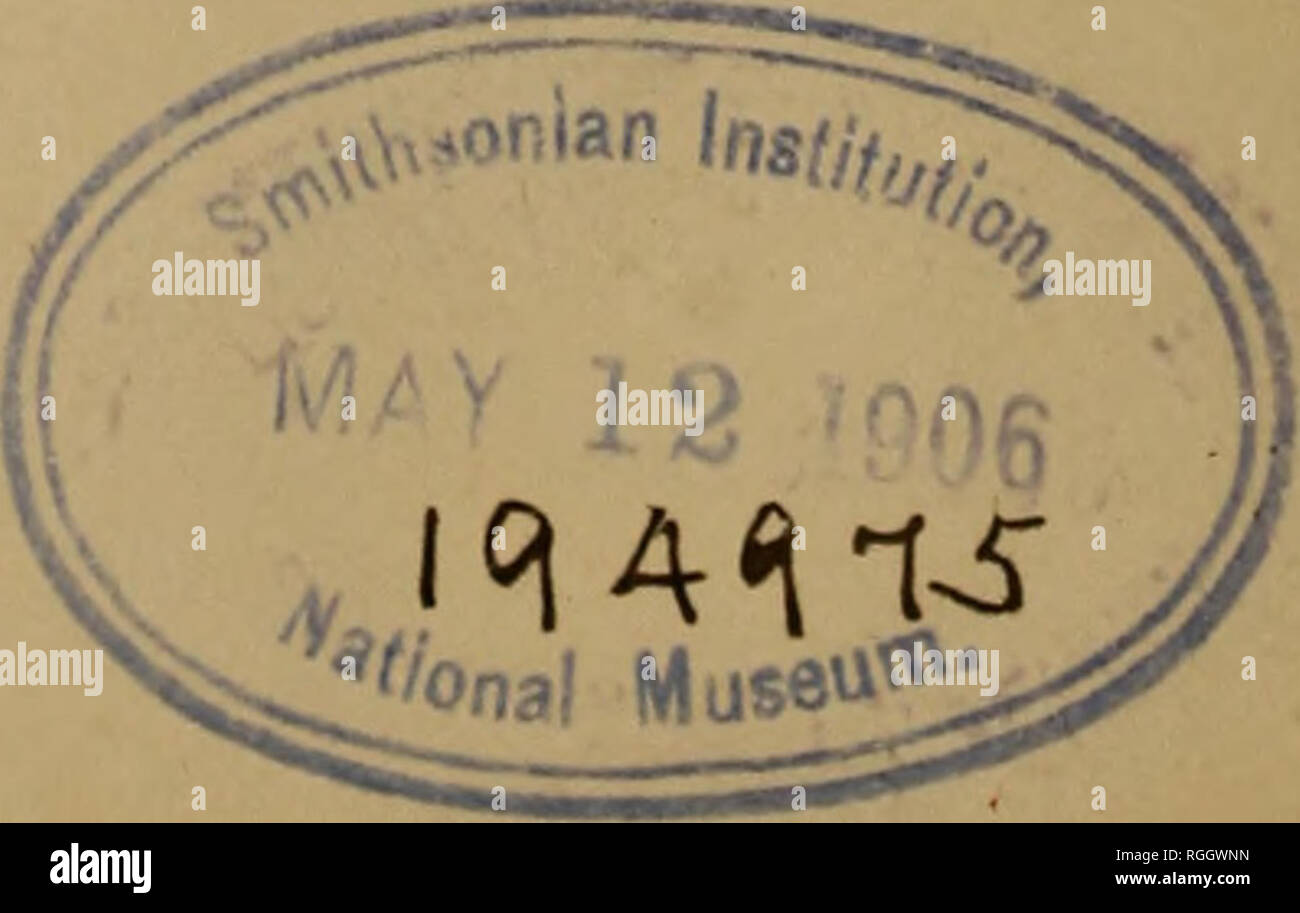 . Bulletin der geologischen Gesellschaft von Amerika. Geologie. Offiziere für 1905 Raphael Pumpelly, Präsident Samuel Calvin")&gt; Vizepräsidenten W. M. Davis,) H. L. Fairchild, Staatssekretärin I. C. Weiß, Schatzmeister J. Stan ley - Braun, Herausgeber H. S. Cushing, Bibliothekar der Klasse von 1907 H. M. Ami, J. F. Kemp, Klasse von 1906 John M. Clarke,) die Ratsmitglieder George S. Merrill, Klasse von 1905 R.D. Salisbury, J. E. Wolff, Drucker Judd &Amp; Detweilkr (Inc.), Washington, DC Graveure der Maurice Joyce Gravur Unternehmen, Washington, DC. Bitte beachten Sie, dass diese Bilder aus gescannten Seite Bilder extrahiert werden Stockfoto