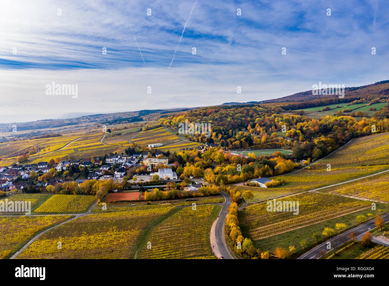 Deutschland, Hessen, Winkel, Oestrich, Rheingau, Luftaufnahme im Herbst Stockfoto