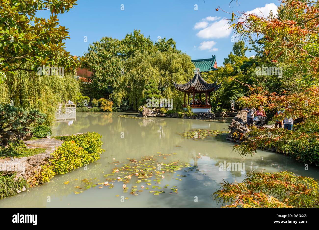 Teich mit Pagode, Dr. Sun Yat-Sen Classical Chinese Garden, traditionelle chinesische Architektur, Vancouver, British Columbia. Stockfoto