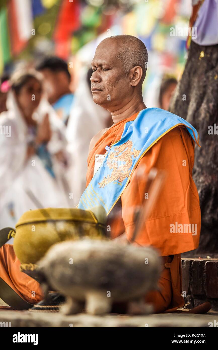 Buddhistische Meister meditiert auf dem Bodhi-baum am Mayadevi Tempel, dem Geburtsort des Buddha, Lumbini, Nepal Stockfoto