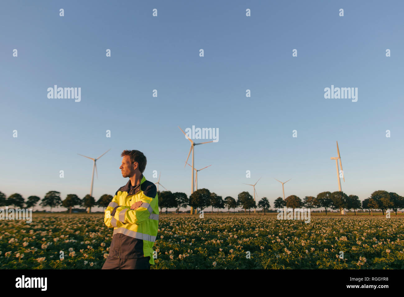 Ingenieur steht ein Feld an einem Windpark Stockfoto