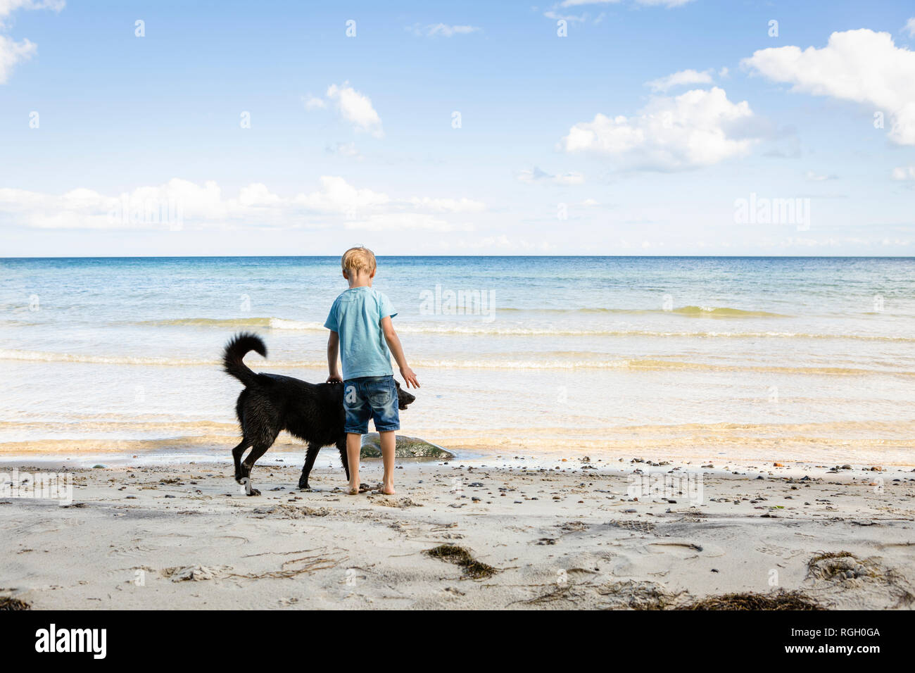 Junge streichelte Hund am Strand Stockfoto