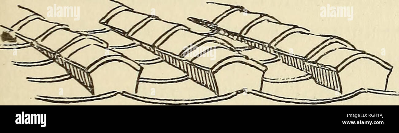 . Bulletin der Essex Institut. Essex Institut; Naturgeschichte; Genealogie. TERRA-COTTA BEDACHUNG - Fliesen. 25 GRIECHENLAND. Die normale Fliese ist die einzige Form in Griechenland gesehen und die benachbarten Inseln. Die übliche schmale Form (imb), Gemeinsamer auf die Mittelmeerländer ist auch die vorherrschende Form in Griechenland. In vielen Fällen sind die beiden Elemente der Fliese sind weniger zylindrischen als die von Italien. Griechenland ist das einzige Land in Europa, in der sich der breite, geschwungene tegula mit schmalen imbrex gesehen wird. In Eleusis, Dächer mit diesem typischen normalen Kachel abgedeckt. In Messenien den breiten tegula ist als imbrex verwendet, ein Stockfoto . Bulletin der Essex Institut. Essex Institut; Naturgeschichte; Genealogie. TERRA-COTTA BEDACHUNG - Fliesen. 25 GRIECHENLAND. Die normale Fliese ist die einzige Form in Griechenland gesehen und die benachbarten Inseln. Die übliche schmale Form (imb), Gemeinsamer auf die Mittelmeerländer ist auch die vorherrschende Form in Griechenland. In vielen Fällen sind die beiden Elemente der Fliese sind weniger zylindrischen als die von Italien. Griechenland ist das einzige Land in Europa, in der sich der breite, geschwungene tegula mit schmalen imbrex gesehen wird. In Eleusis, Dächer mit diesem typischen normalen Kachel abgedeckt. In Messenien den breiten tegula ist als imbrex verwendet, ein Stockfoto