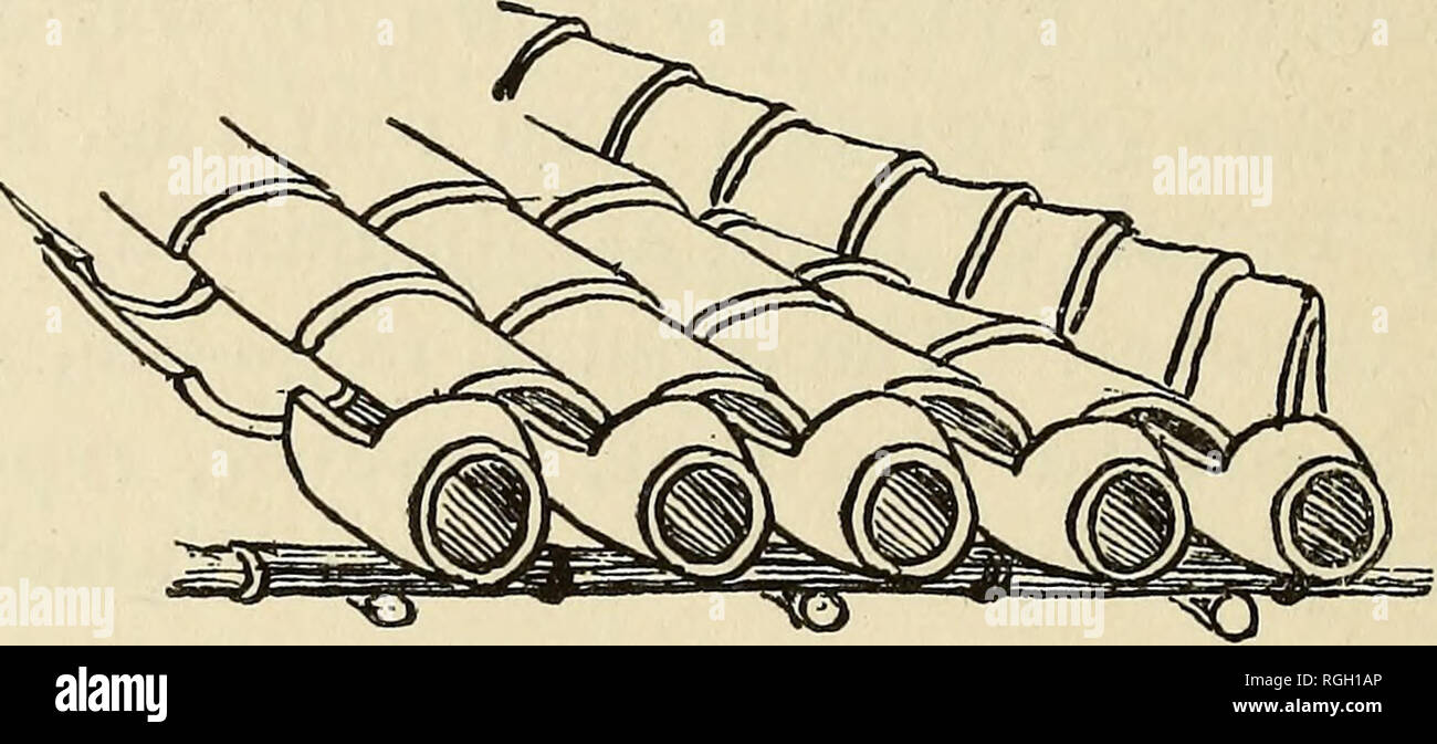 . Bulletin der Essex Institut. Essex Institut; Naturgeschichte; Genealogie. 22 AUF DIE ÄLTEREN FORMEN VON INDIEN. Soweit Museum Probestücke und Fotografien haben en-abled mir zu beurteilen, der Bedachung - Fliesen überall in Indien verwendet werden, von den normalen Typ (normalerweise imb.). Die Beurteilung durch die Form der imbrex wie in Fotografien von Bom-Bucht Häuser gezeigt, so scheint es, dass die bei ihrer Herstellung eine verjüngende Zylinder der Ton auf einem Potter's - Rad gedreht wird, und schneiden Sie dann in zwei Hälften längs, und diese Hälften sind wie tegula und imbrex verwendet. Als Beweis dafür, in der Bom-Bucht Dach die Fliesen an der Grenze der ea Stockfoto . Bulletin der Essex Institut. Essex Institut; Naturgeschichte; Genealogie. 22 AUF DIE ÄLTEREN FORMEN VON INDIEN. Soweit Museum Probestücke und Fotografien haben en-abled mir zu beurteilen, der Bedachung - Fliesen überall in Indien verwendet werden, von den normalen Typ (normalerweise imb.). Die Beurteilung durch die Form der imbrex wie in Fotografien von Bom-Bucht Häuser gezeigt, so scheint es, dass die bei ihrer Herstellung eine verjüngende Zylinder der Ton auf einem Potter's - Rad gedreht wird, und schneiden Sie dann in zwei Hälften längs, und diese Hälften sind wie tegula und imbrex verwendet. Als Beweis dafür, in der Bom-Bucht Dach die Fliesen an der Grenze der ea Stockfoto