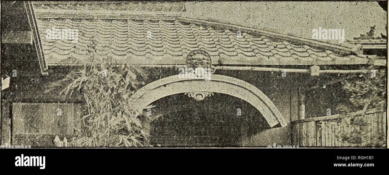 . Bulletin der Essex Institut. Essex Institut; Naturgeschichte; Genealogie. Abb. 24.. Abb. 25. Nachahmung der Traufe normale Fliese, die runde Scheibe des imbrex Teil über den Teil ausmachen - ing Die tegula (Abb. 26). In Nagasaki die Pan tile border-ing die Kante der Giebel ist verbogen abrupt nach unten.. Bitte beachten Sie, dass diese Bilder sind von der gescannten Seite Bilder, die digital für die Lesbarkeit verbessert haben mögen - Färbung und Aussehen dieser Abbildungen können nicht perfekt dem Original ähneln. extrahiert. Essex Institut. 1 n. Salem, Mass., Essex Institu Stockfoto . Bulletin der Essex Institut. Essex Institut; Naturgeschichte; Genealogie. Abb. 24.. Abb. 25. Nachahmung der Traufe normale Fliese, die runde Scheibe des imbrex Teil über den Teil ausmachen - ing Die tegula (Abb. 26). In Nagasaki die Pan tile border-ing die Kante der Giebel ist verbogen abrupt nach unten.. Bitte beachten Sie, dass diese Bilder sind von der gescannten Seite Bilder, die digital für die Lesbarkeit verbessert haben mögen - Färbung und Aussehen dieser Abbildungen können nicht perfekt dem Original ähneln. extrahiert. Essex Institut. 1 n. Salem, Mass., Essex Institu Stockfoto