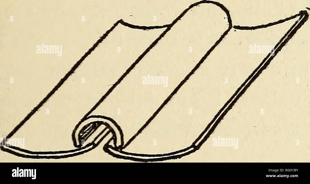 . Bulletin der Essex Institut. Essex Institut; Naturgeschichte; Genealogie. TERKA - COTTA BEDACHUNG - Fliesen. D Abhandlung verwiesen werden später auf, beschreibt, was er werden - lieves die frühesten bekannten Terra-cotta Bedachung - Fliesen. Diese wurden in den Ruinen des Tempels der Hera, in Olympia gefunden, dating fast tausend Jahre vor Christus. Diese alte Fliesen besteht aus zwei Elementen, einem breiten unter Stück (tegula) leicht gebogen, und einen schmalen, semi-zylindrisches Stück (imbrex), die in einem Invertierten positioniert wurde, um die Kreuzung von zwei adja-Bild. 5. cent Tegulae (Abb. 5). Von Bedeutung ist, Stockfoto . Bulletin der Essex Institut. Essex Institut; Naturgeschichte; Genealogie. TERKA - COTTA BEDACHUNG - Fliesen. D Abhandlung verwiesen werden später auf, beschreibt, was er werden - lieves die frühesten bekannten Terra-cotta Bedachung - Fliesen. Diese wurden in den Ruinen des Tempels der Hera, in Olympia gefunden, dating fast tausend Jahre vor Christus. Diese alte Fliesen besteht aus zwei Elementen, einem breiten unter Stück (tegula) leicht gebogen, und einen schmalen, semi-zylindrisches Stück (imbrex), die in einem Invertierten positioniert wurde, um die Kreuzung von zwei adja-Bild. 5. cent Tegulae (Abb. 5). Von Bedeutung ist, Stockfoto