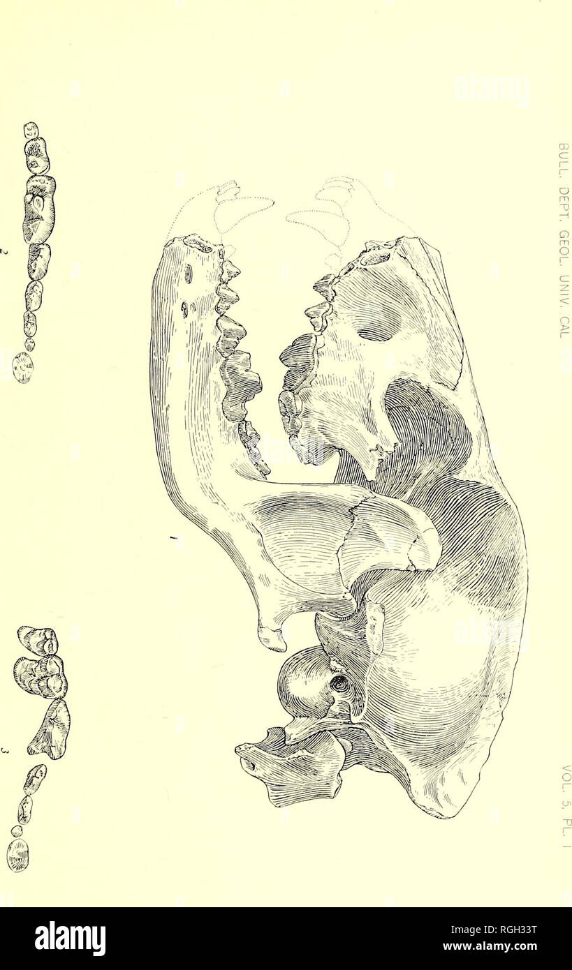 . Bulletin der Abteilung für Geologie. Geologie. . Bitte beachten Sie, dass diese Bilder sind von der gescannten Seite Bilder, die digital für die Lesbarkeit verbessert haben mögen - Färbung und Aussehen dieser Abbildungen können nicht perfekt dem Original ähneln. extrahiert. Universität von Kalifornien, Berkeley. Abt. der Geologie. Berkeley: University Press Stockfoto