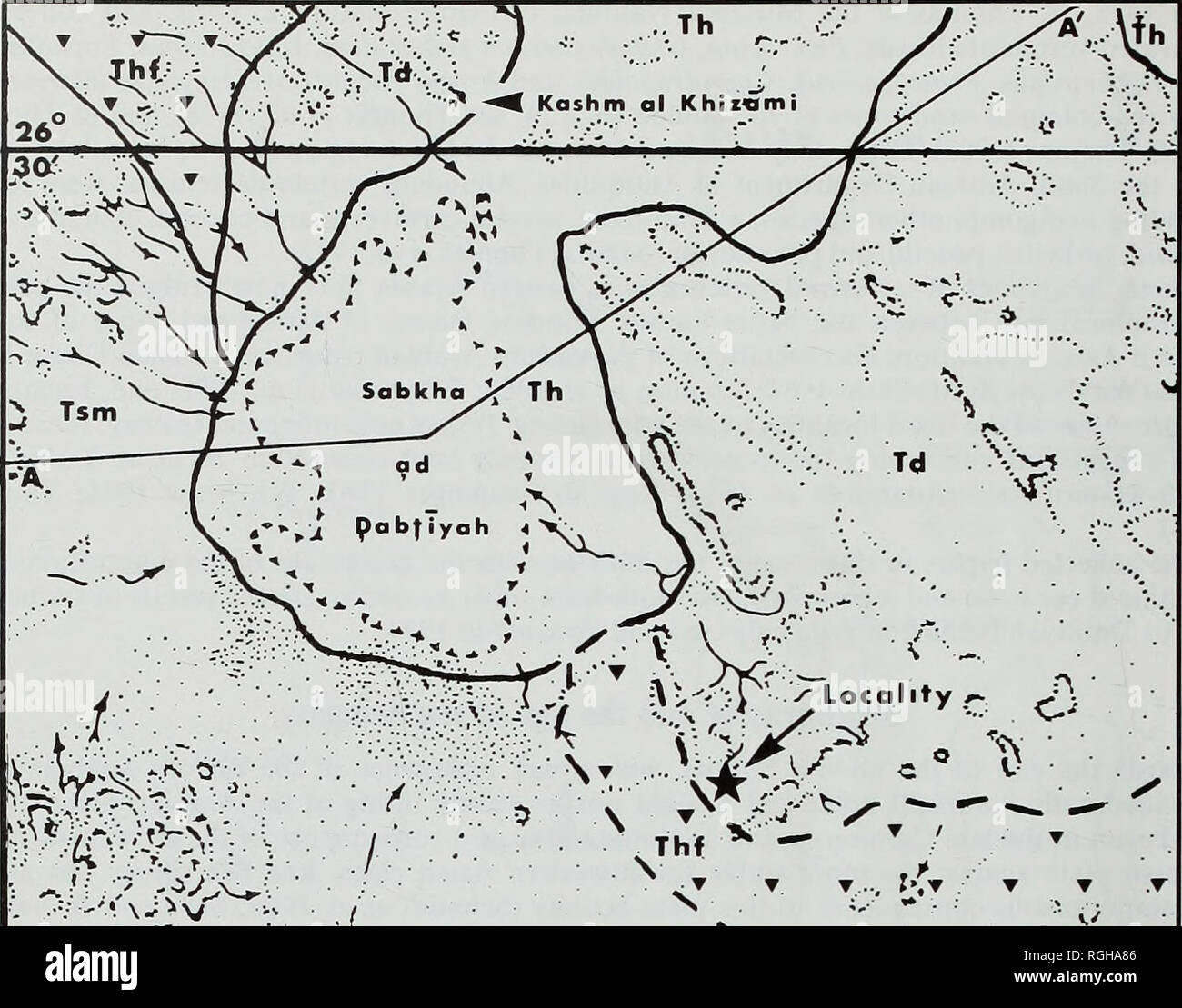 . Bulletin des British Museum (Natural History), Geologie. 374 S. J. WHYBROW, H. A. McCLURE & Amp; G. F. ELLIOTT. -. ^ â: -5"". VAJ. Â ¢': â'. Bitte beachten Sie, dass diese Bilder sind von der gescannten Seite Bilder, die digital für die Lesbarkeit verbessert haben mögen - Färbung und Aussehen dieser Abbildungen können nicht perfekt dem Original ähneln. extrahiert. British Museum (Natural History). London: BM (NH) Stockfoto