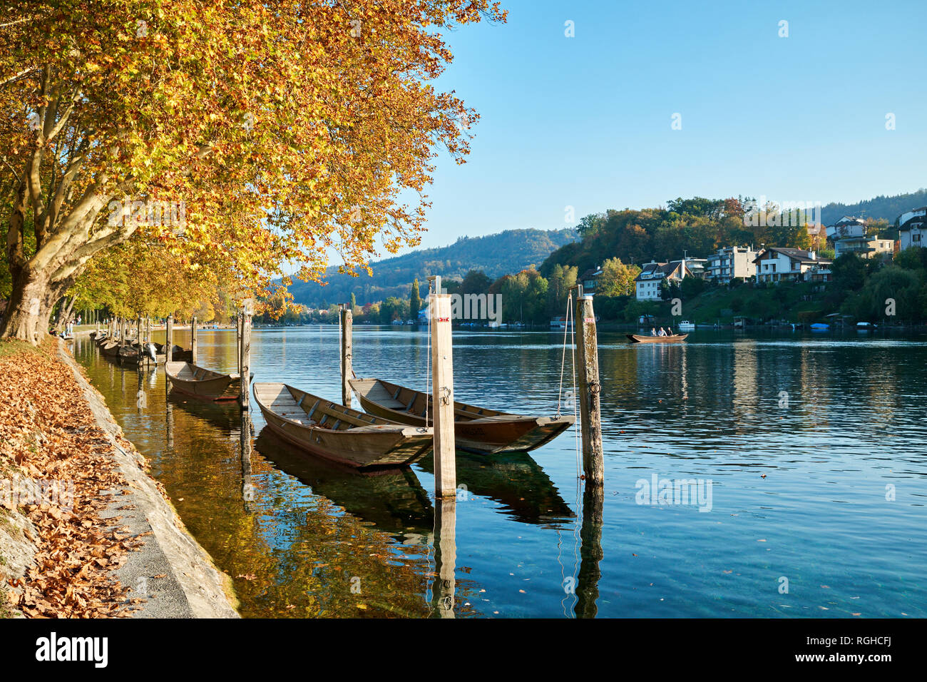 Schweiz, Kanton Schaffhausen, Schaffhausen, Rhein und traditionellen Weidlings im Herbst Stockfoto