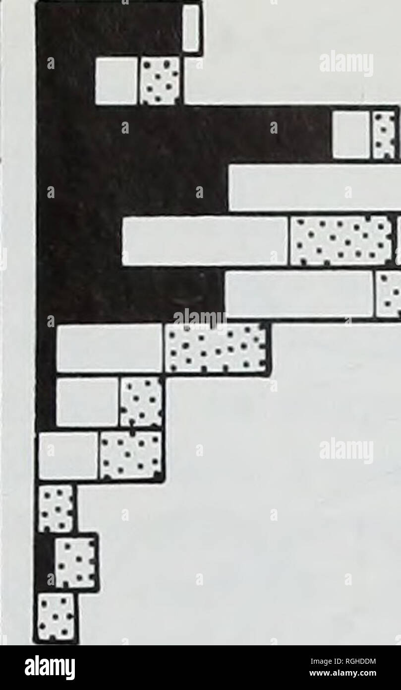 . Bulletin des British Museum (Natural History), Geologie. Kreidezeit STACHELHÄUTER von Wilmington 100 | stark rostrate 33 350 600 3 o03 Si w e o 850 1100. Ich!: v | I; -:::':] ICH ICH, -:]  2 schwach rostrate • Nicht-rostrate 0 5 10 Anzahl der Proben Abb. 11 Analyse der "Grad der rostrateness" in Echinogalerus rostratus innerhalb der Sukzession in Wil- mington. Wenn Sie von der unteren Oberfläche gesehen, Proben wurden als stark eingestuft, wenn die rostrate periproct deutlich sichtbar war, schwach, wenn die rostrate periproct gerade noch sichtbar war und nicht-rostrate, wo die periproct nicht gesehen werden konnte." Stockfoto