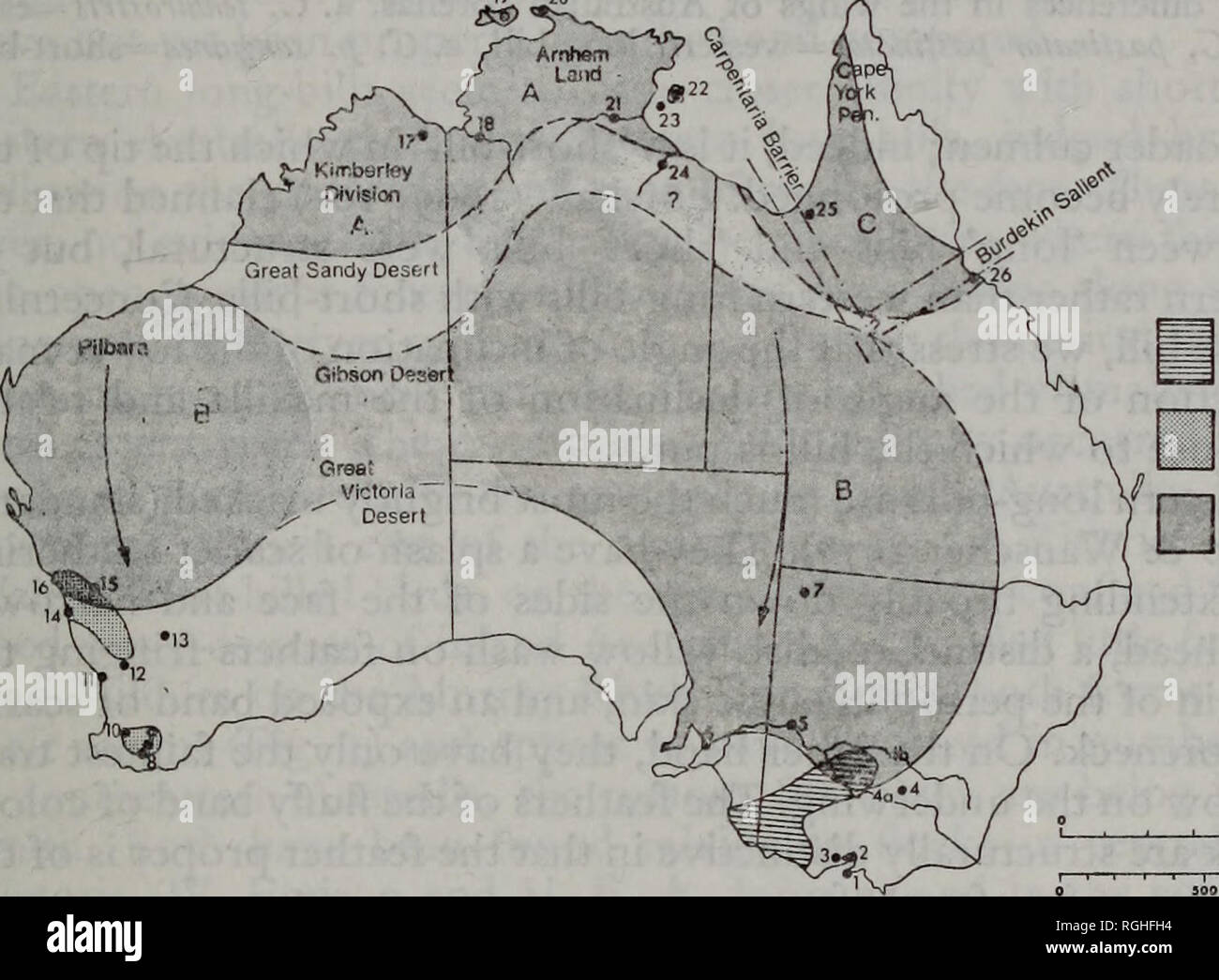 . Bulletin der British Ornithologists' Club. Ich 29 [Stier B.O.C. 1979: 99 (4)] Federn auf der foreneck und Gesicht, Ton Der underwing und Anrufe. Diese Zeichen haben entweder übersehen oder in der Literatur interpretiert und dabei keines der jüngsten Beschreibungen genau ist. Die lange-billed corella der östlichen Australien (Tenuirostris) ist bei weitem die markantesten der Drei. Es ist ein stämmig Vogel mit einem unverhältnismäßig kurze Schwanz (mittlere Rute: wing Verhältnis 0-45), ein rudimentäres Crest (übliche Länge 33-34 mm) und einem spitzen Flügel, in der die zweiten in äußerster primär am längsten und die Sixt Stockfoto