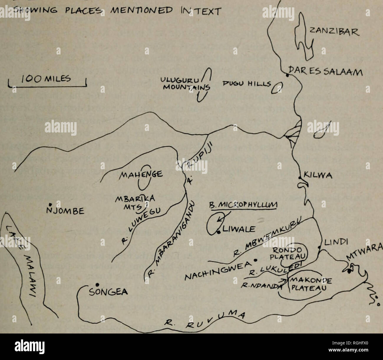 . Bulletin der British Ornithologists' Club. £. E. Tansania Sf+OWIK/G. Platziert AA £ NT&gt; OM&amp; D lM TEXT ZANZIR^ £ an^E 15 SALAAM. Ob es klassifiziert als Wald oder nicht, er bietet viel den gleichen Lebensraum für Vögel als konventionelle immergrünen Wald. Es ist schwer zu sehen, warum dieser Block von Land bildet eine solche klar abgegrenzten Bereich der Vegetation. Es ist das Wasser zwischen den mbwemkuru und der Rufiji-Mbaran'gandu - luwegu Flusseinzugsgebiete vergossen, und können eine etwas höhere Niederschlag als Umgebung haben, aber in der Höhe Es ist nur wenig über Sie erhoben. Die Osterweiterung ist ein "Meer" von &quot Stockfoto