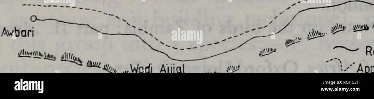 . Bulletin der British Ornithologists' Club. [Bull. Brit. Om. Kl. i9S2:I02 (l)] 32 Vögel in West Central Libyen, 1980-81 von S. J. Cowan erhalten $ August 1981 Bundy (1976) die Literatur über Aufzeichnungen von Vögeln, die in Libyen und gruppierten Datensätze in 4 Regionen von 3o°N beschrieben überprüft und ich 9°E. Papiere Auflistung Vögel in der "fezzan" Region gesehen (südlich von 3°N, westlich von 19° E) sind wenige veröffentlicht. Das vorliegende Papier Berichte Beobachtungen von mir aus 15 Sep 1980 bis 19. Juni 1981 Brak und anderen Gemeinden (Abb. 1) In der Bundy's Fezzan. 13' E u°ich Al Qardah AW8 ARI SAND MEER Wadi Azzallaf Raml Stockfoto